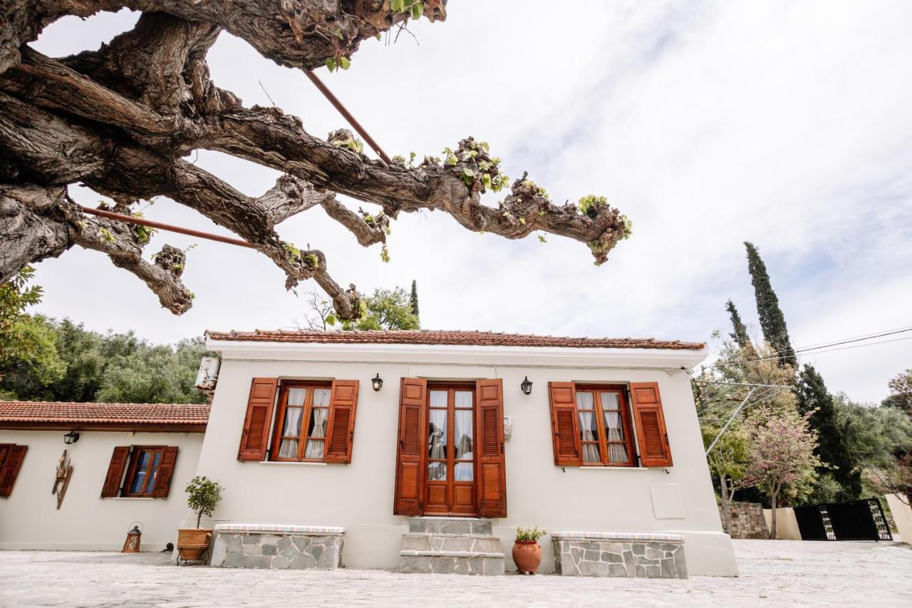 Kymanemi Zakynthos Cottage House Áno Yerakaríon 외부 사진