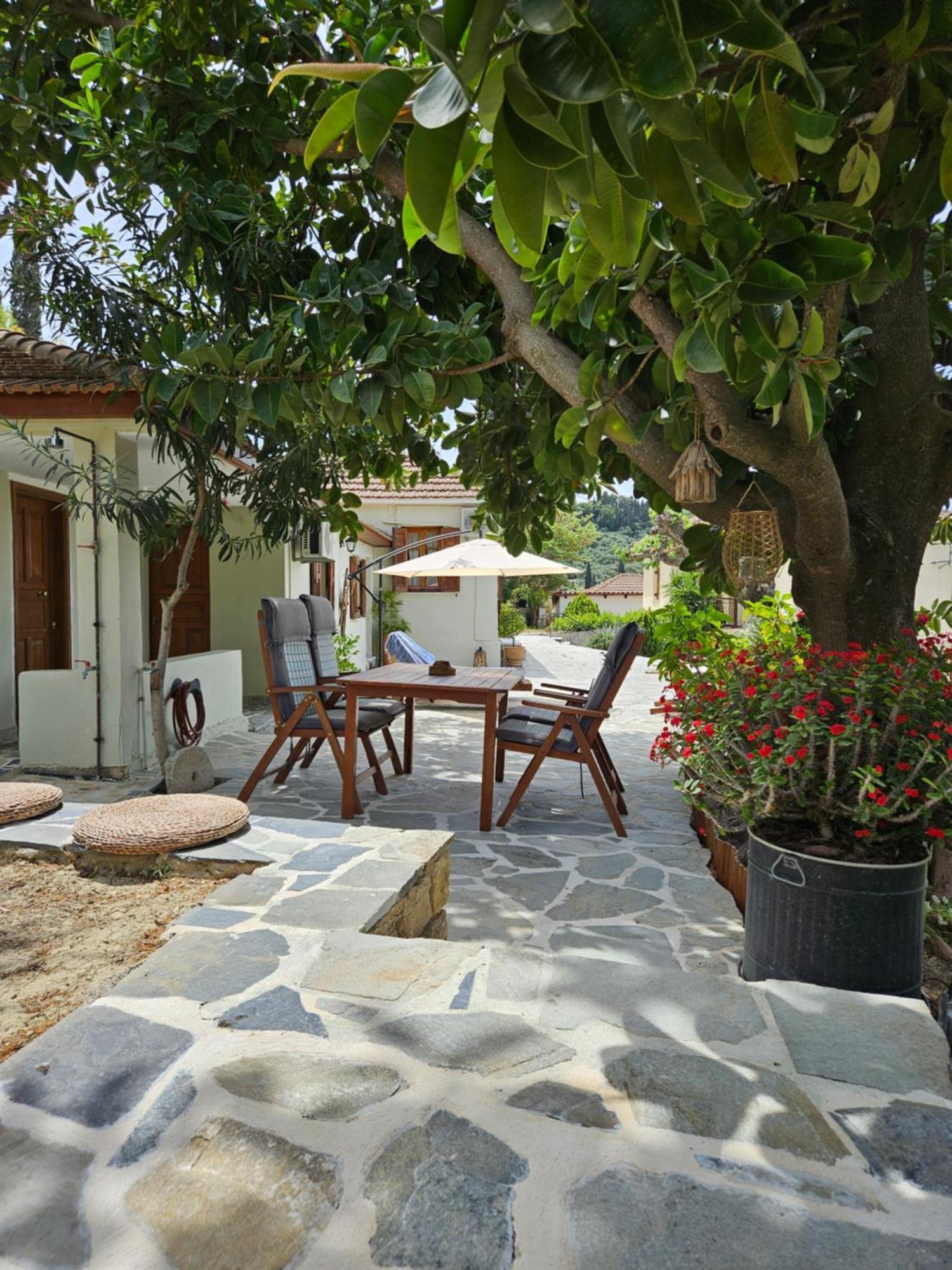 Kymanemi Zakynthos Cottage House Áno Yerakaríon 외부 사진