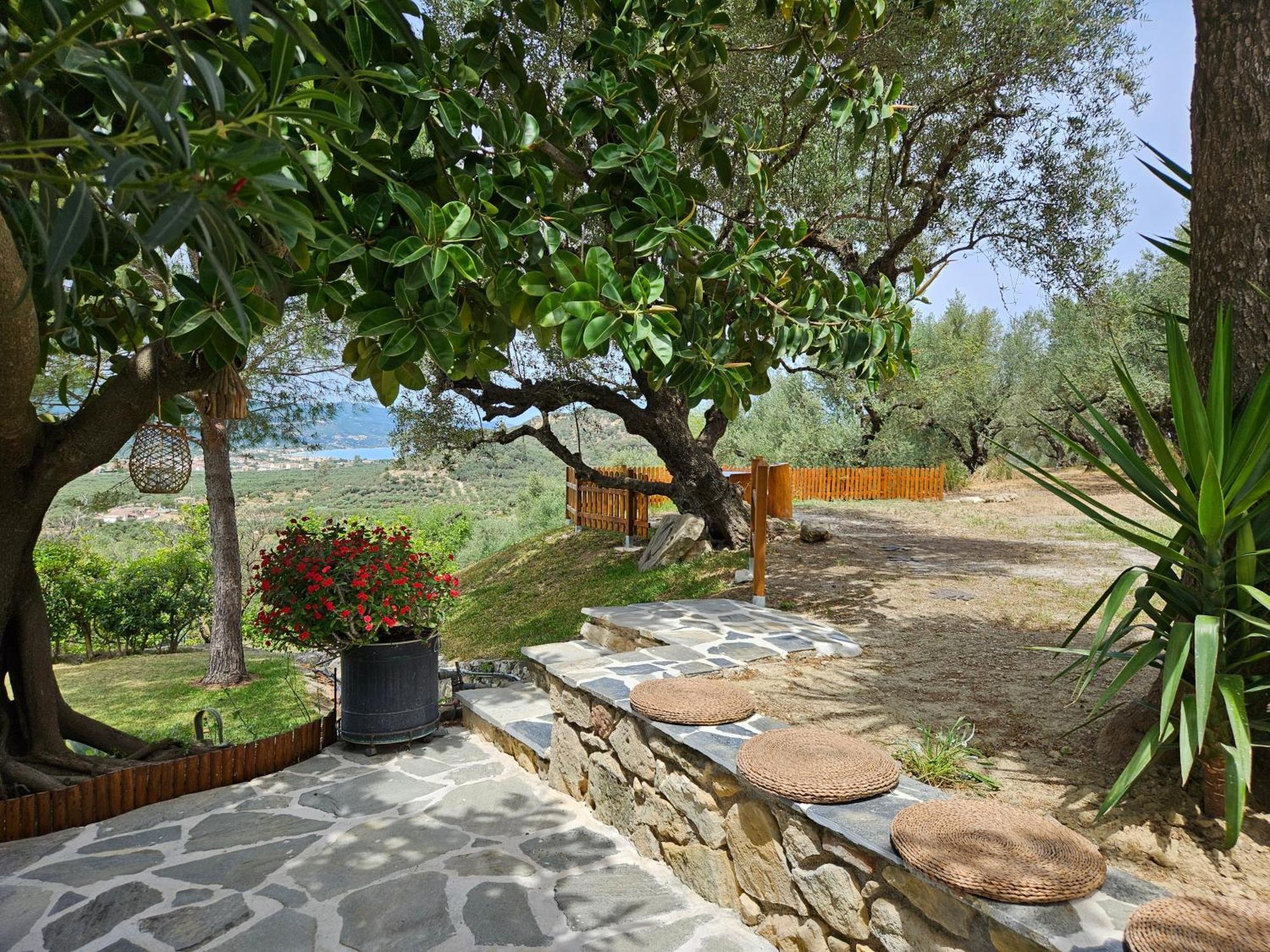 Kymanemi Zakynthos Cottage House Áno Yerakaríon 외부 사진